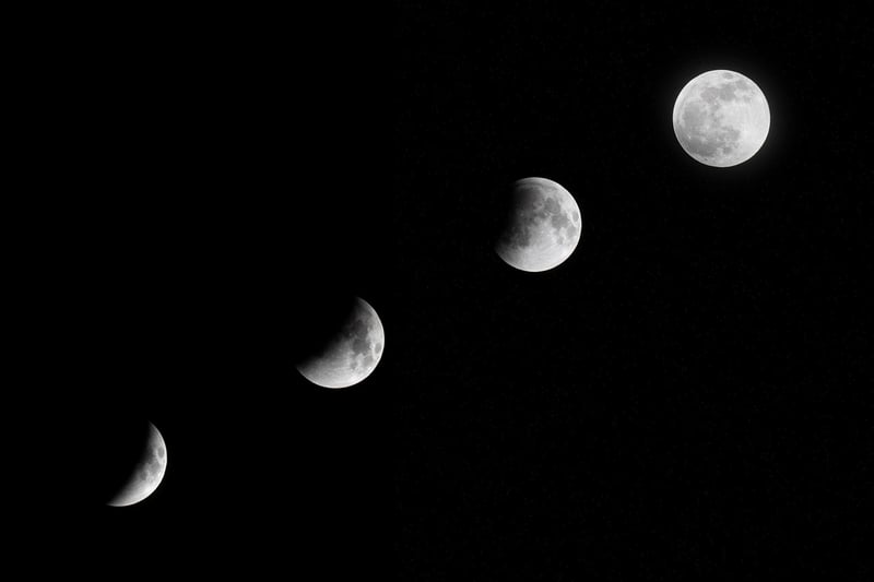 Moonlit Altar Arrangements